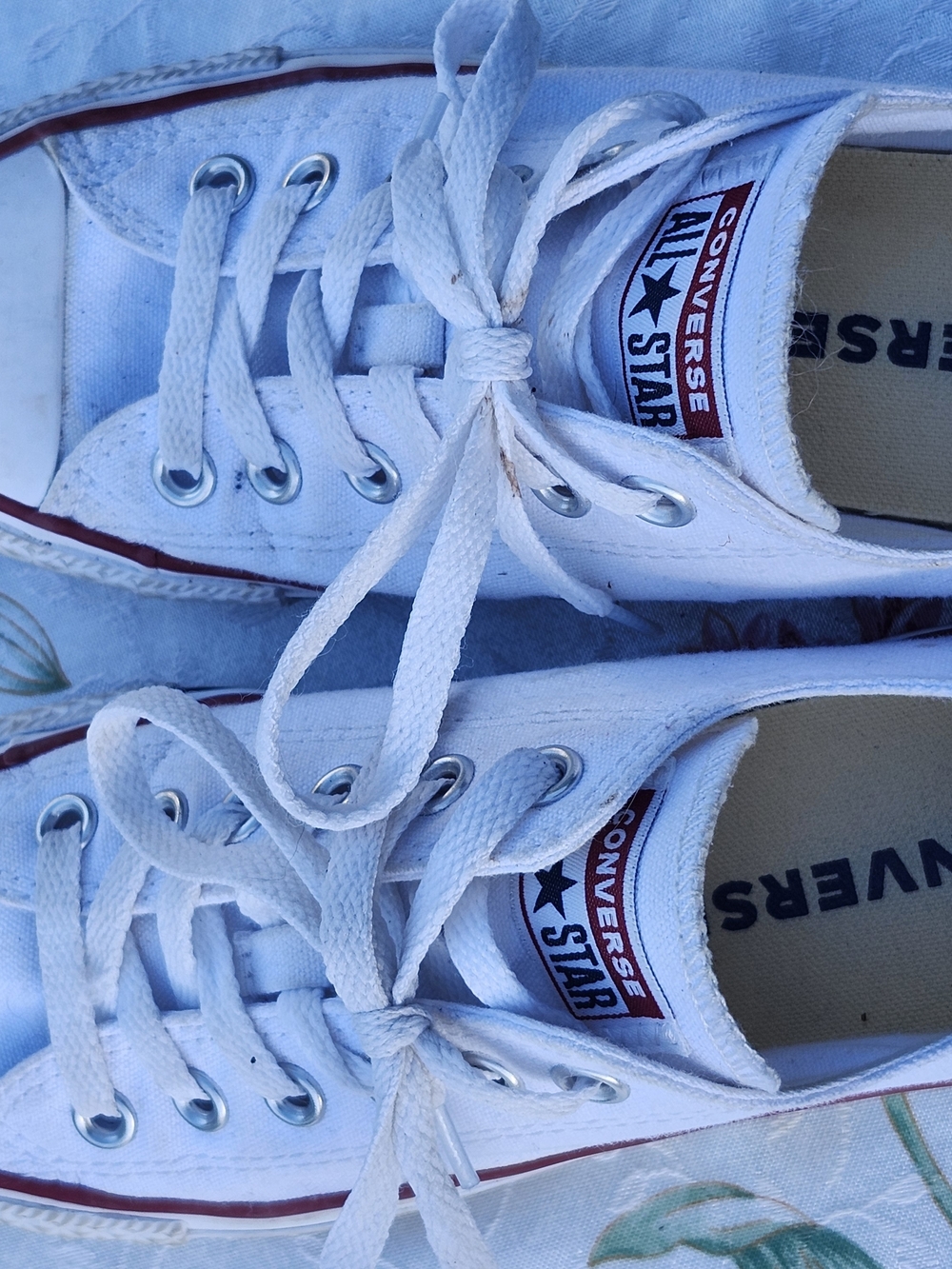 Converse Kids White Canvas Low-Top Sneakers